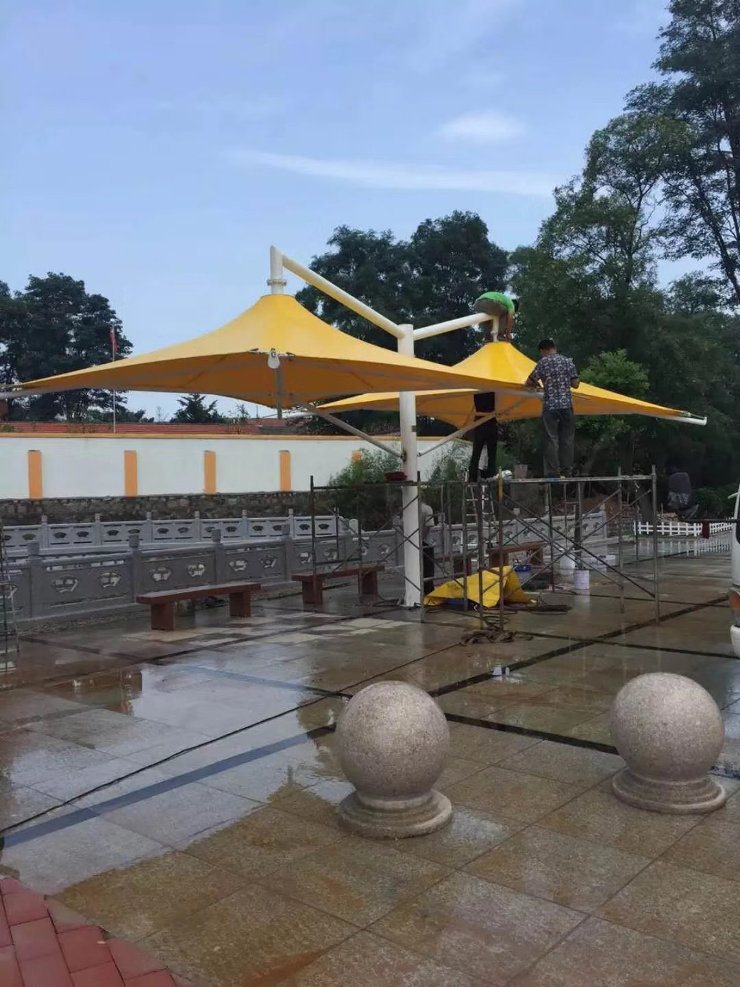 膜結(jié)構(gòu)